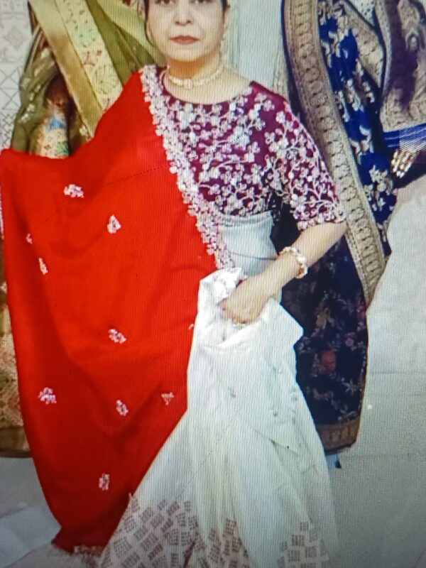 SOFT SILK  FANCY WORK SAREE